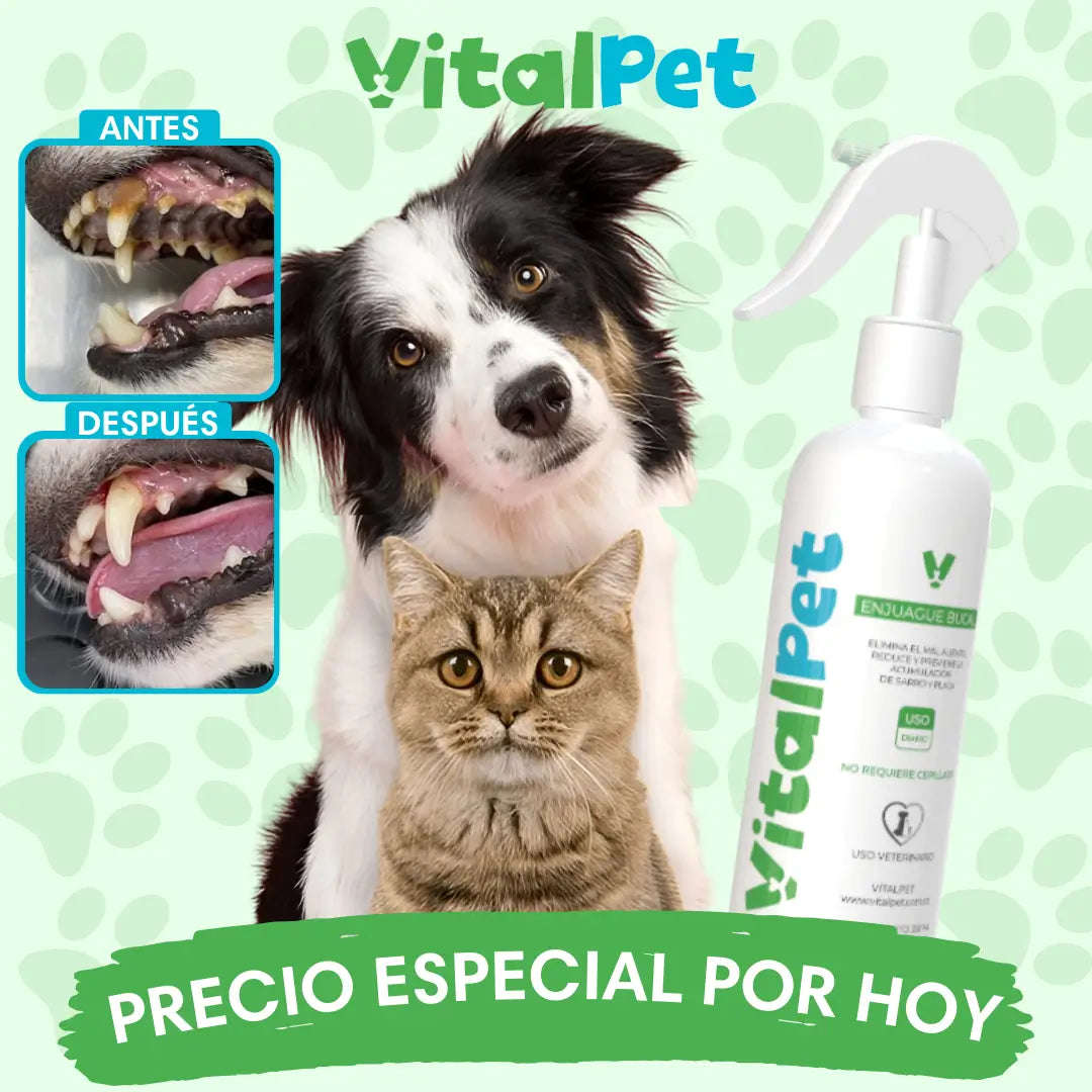 Vitalpet enjuague bucal